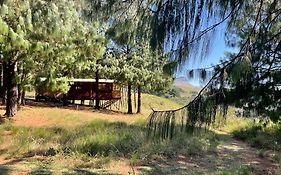 Dargle Forest Lodge